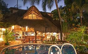 Cocos Cabanas Playa Del Carmen Adults Only